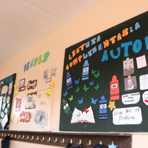 Diarios Murales Día del Libro